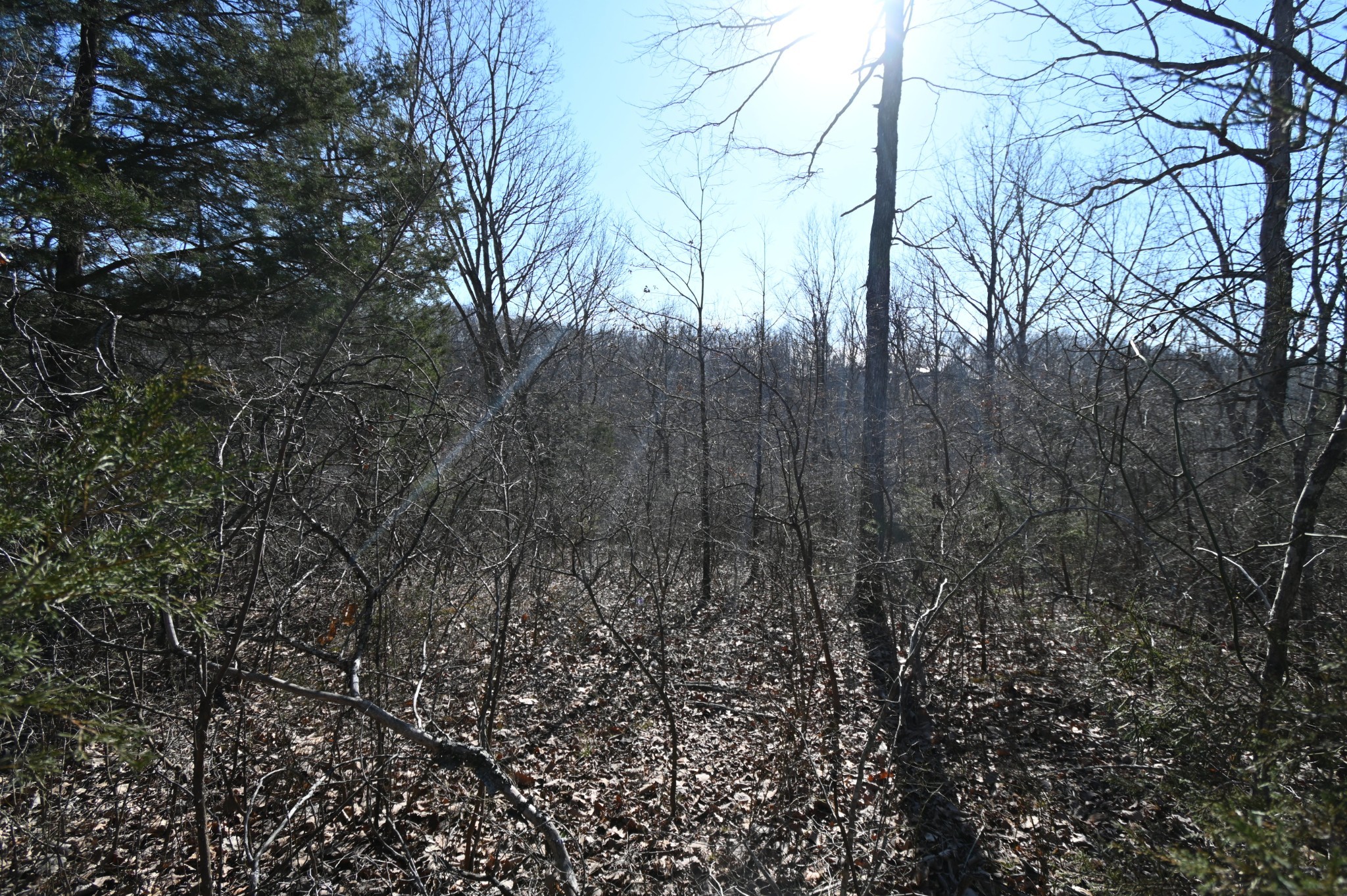 143 Wyatt Ln