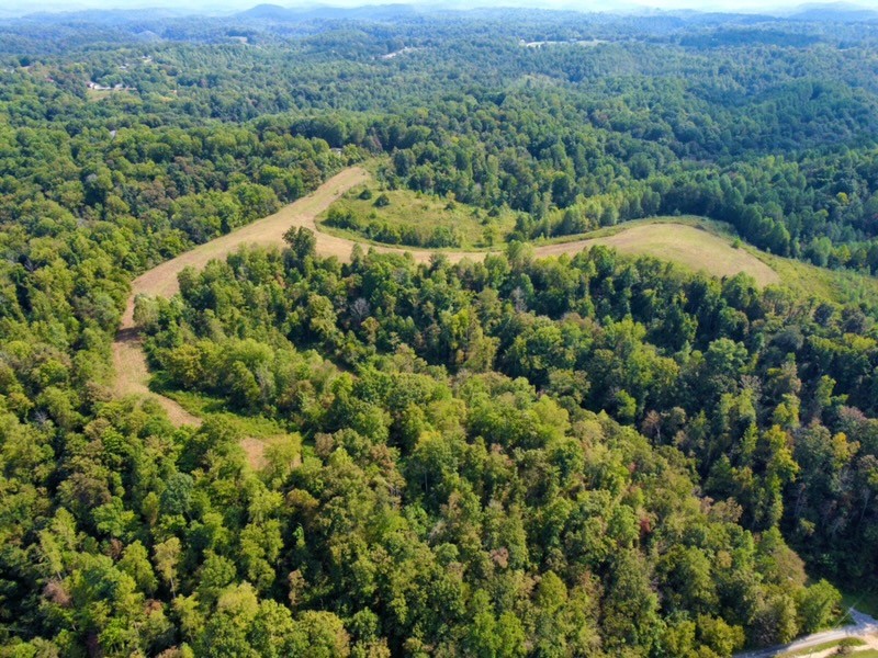 8943 Phillips Hollow Road