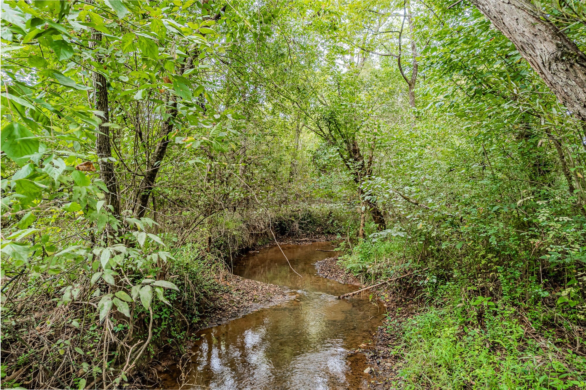 0 County Road 432