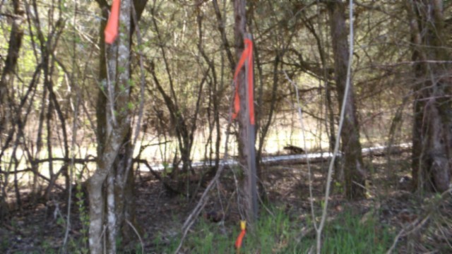 90 ac Baugh Hollow Rd
