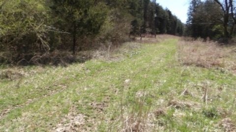 90 ac Baugh Hollow Rd Gainesboro TN 38562