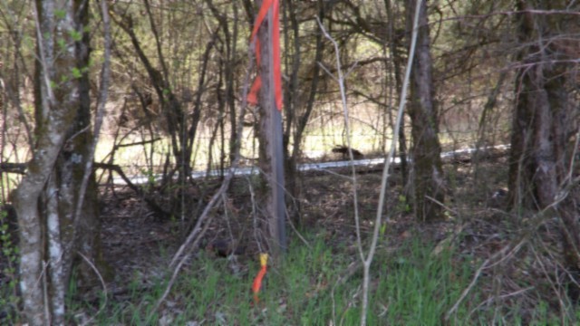 90 ac Baugh Hollow Rd