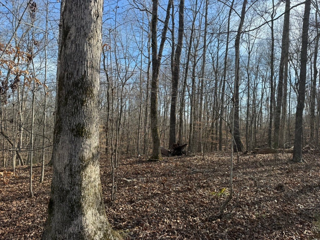 0 Riverwatch Trace