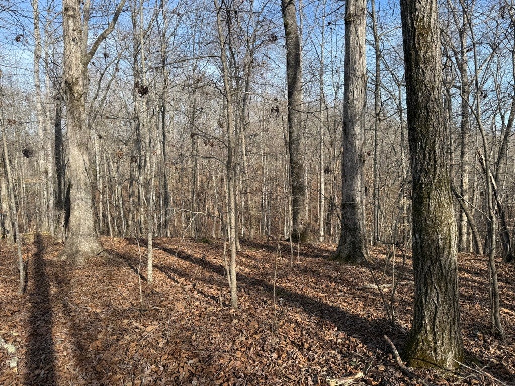 0 Riverwatch Trace