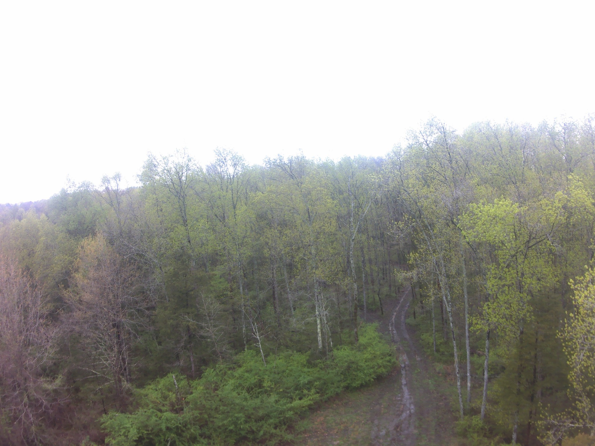 0 Hwy 64 Arnold Rd E