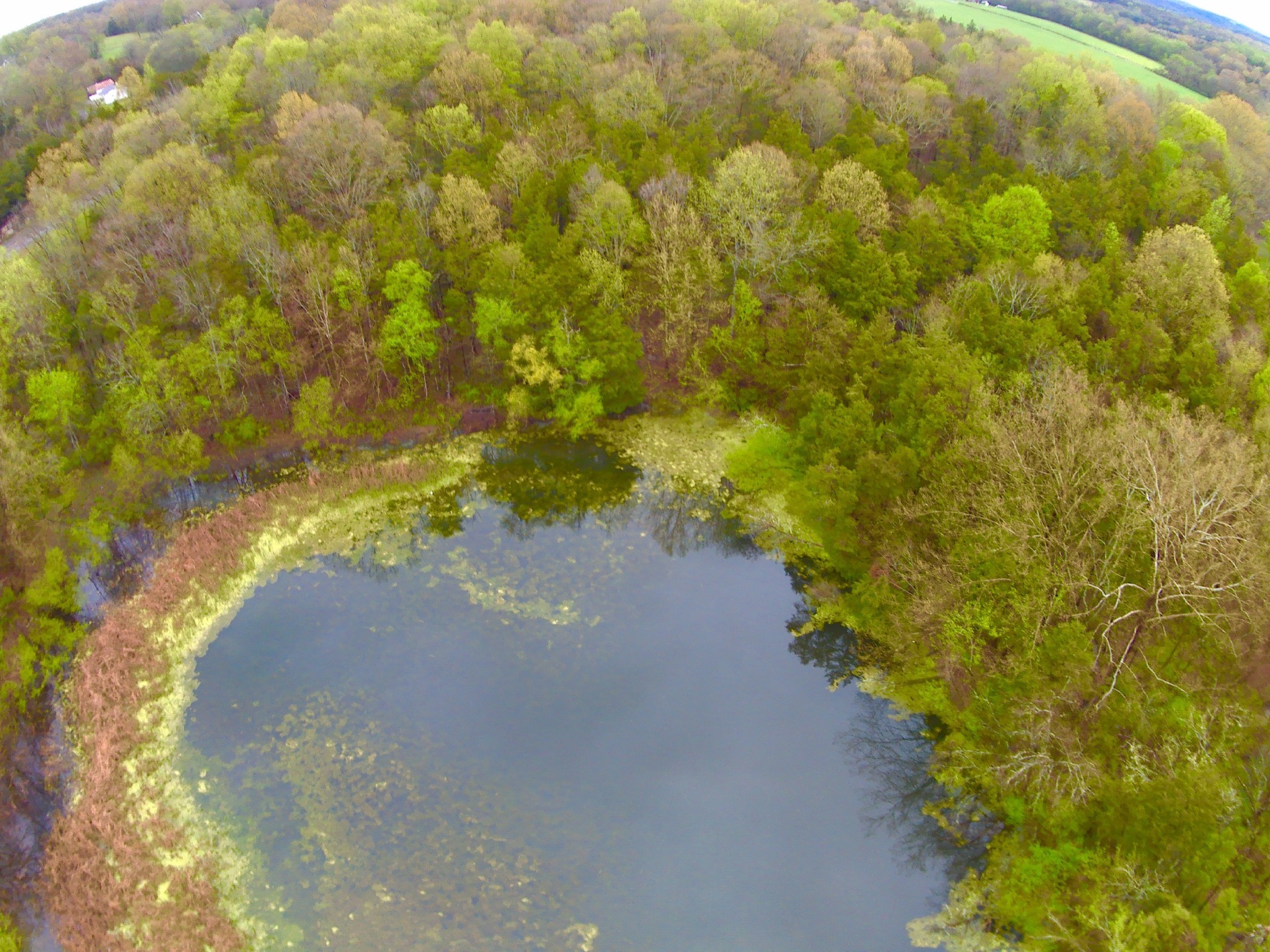 0 Hwy 64 Arnold Rd E