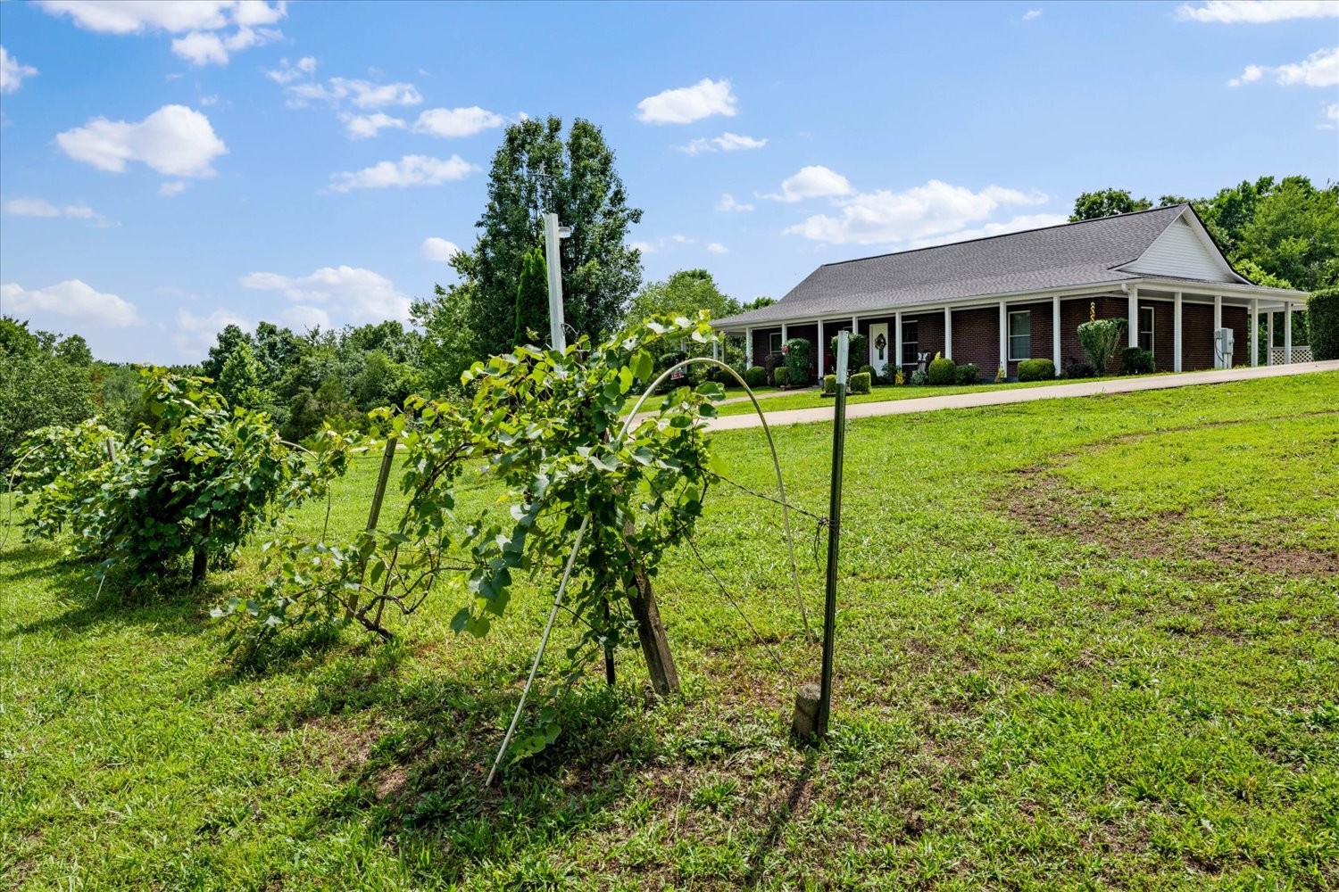 124 Napier Rd