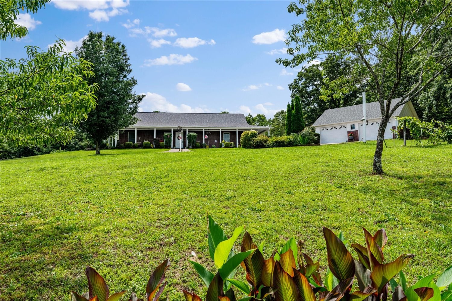 124 Napier Rd