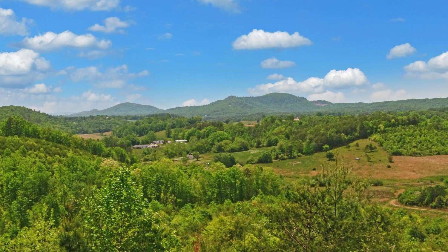 322 Deer Haven Trail