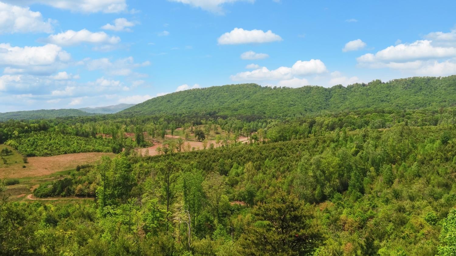 322 Deer Haven Trail