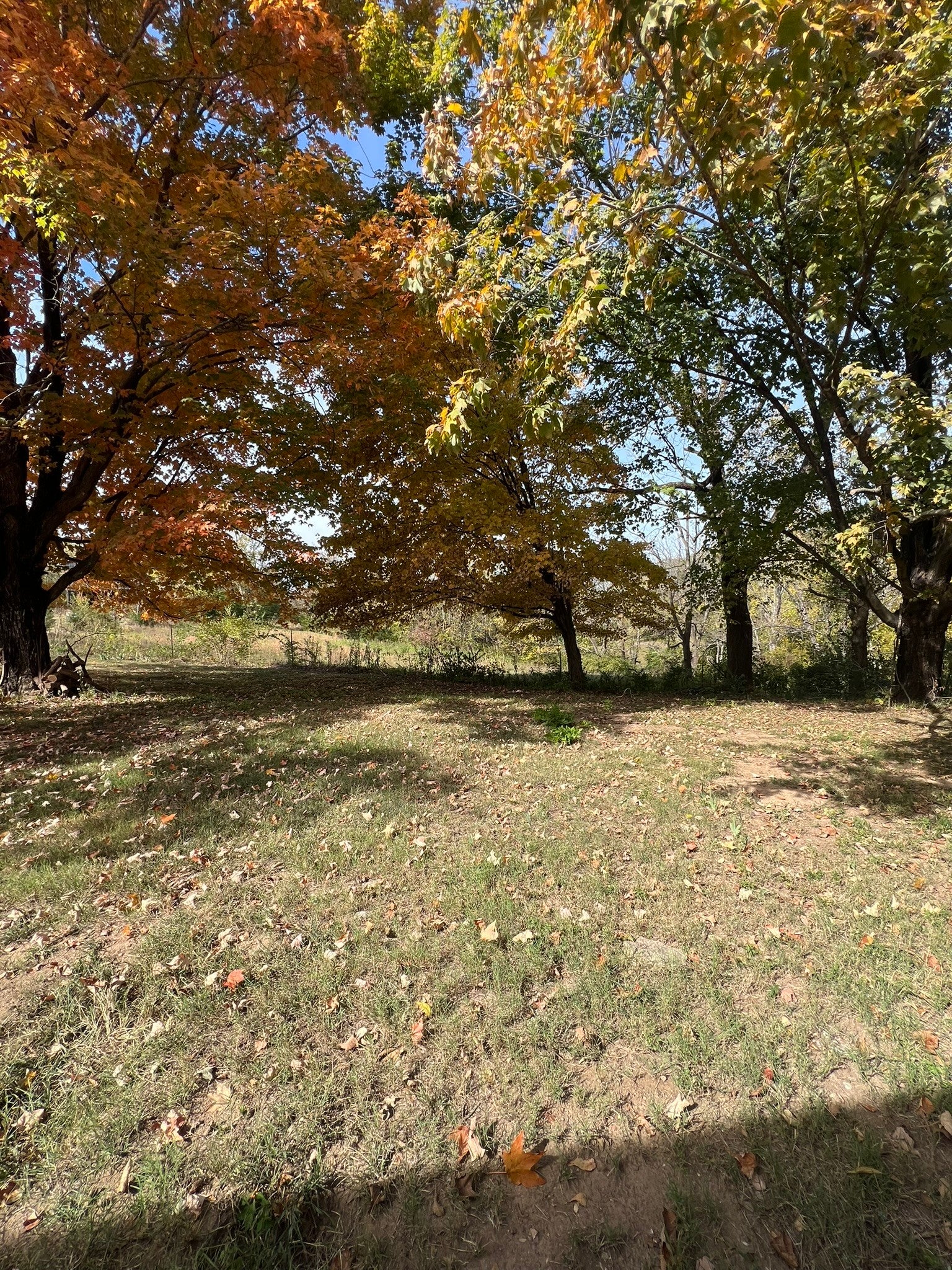 729 Dobbins Pike