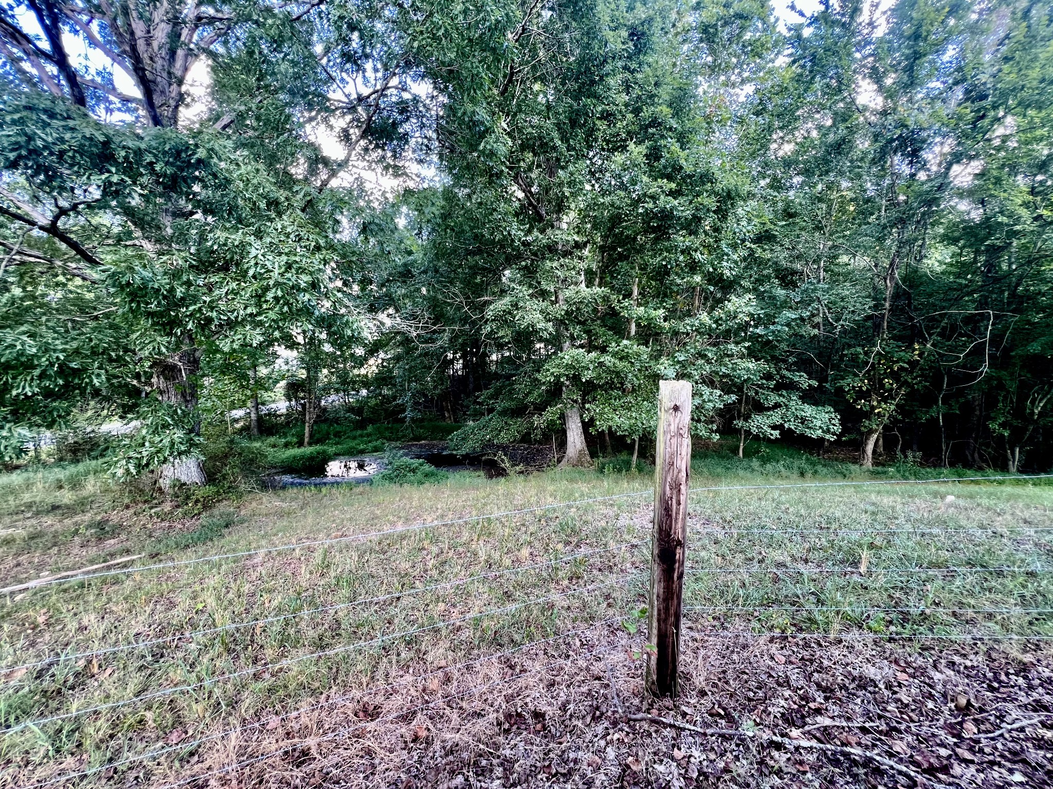 67 Moore Rd