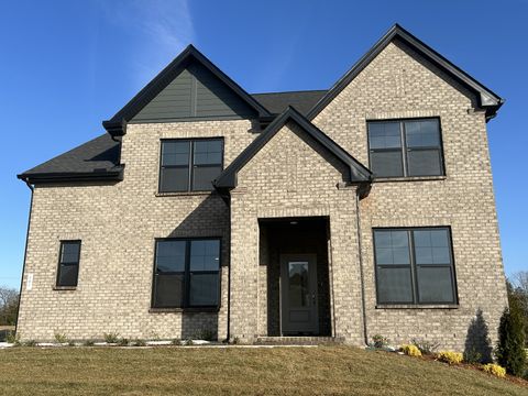 Photo of 291 Johnnys Place, Mount Juliet, TN 37122 (MLS # 3120347)