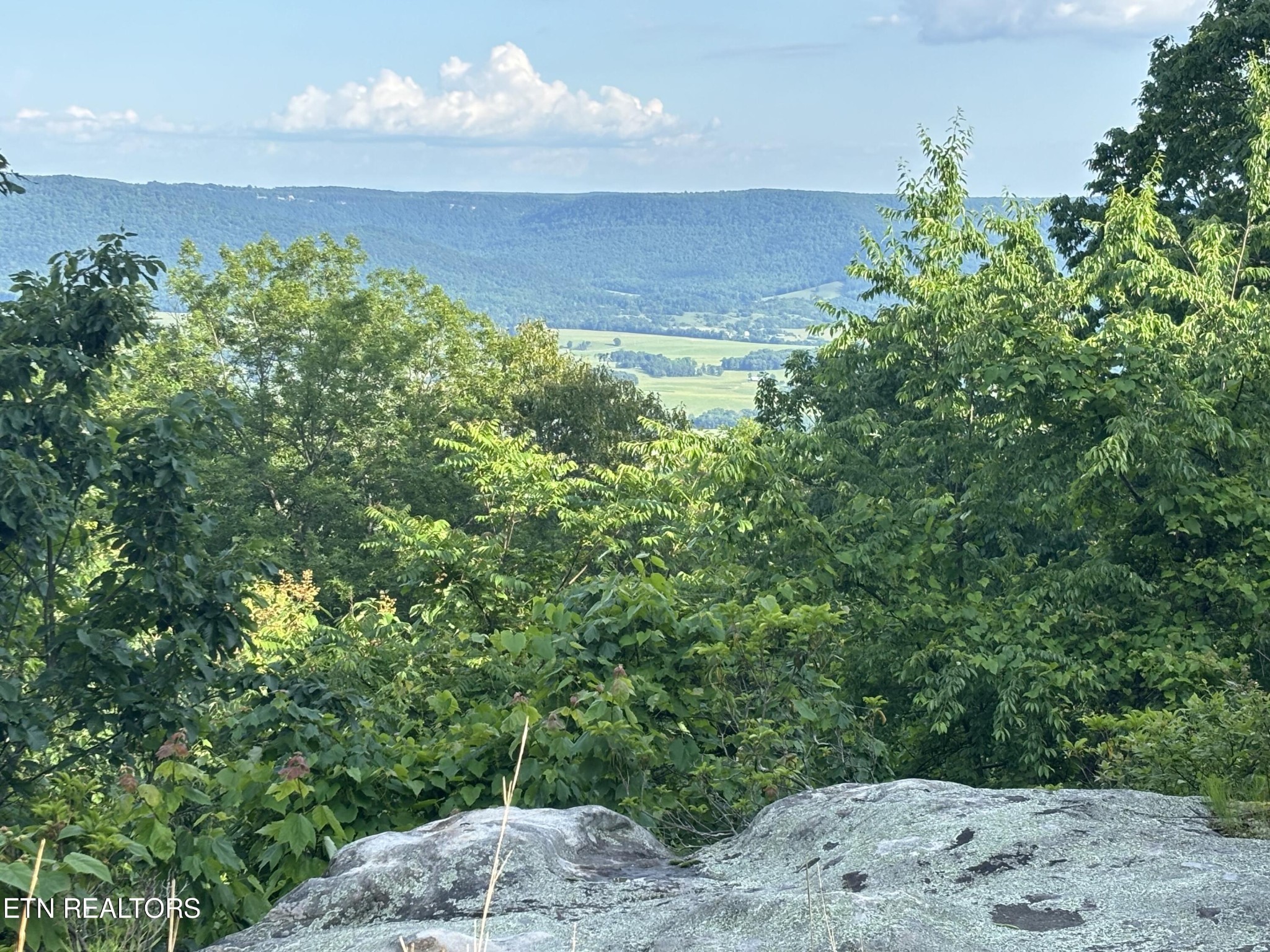 1355 Gray Rock View