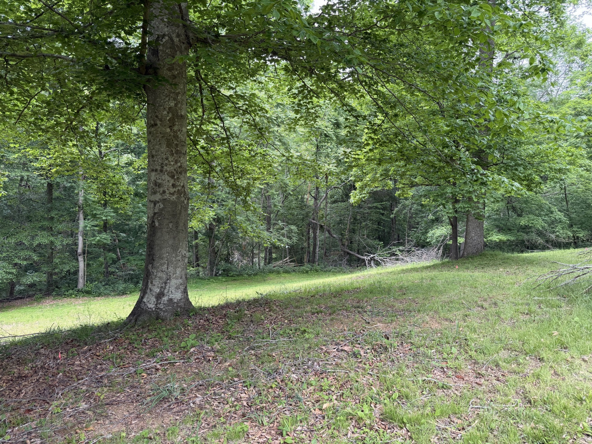 0 Mud Hollow Rd