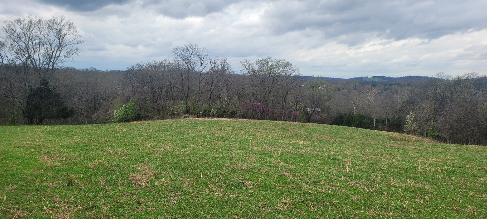 1 Haley Rd