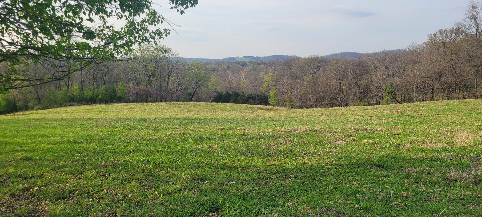 1 Haley Rd