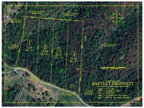 4 Ward Lane Bethpage TN 37022