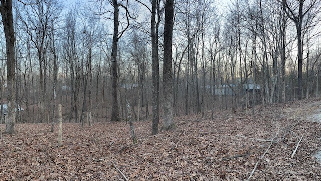 Listing image 6