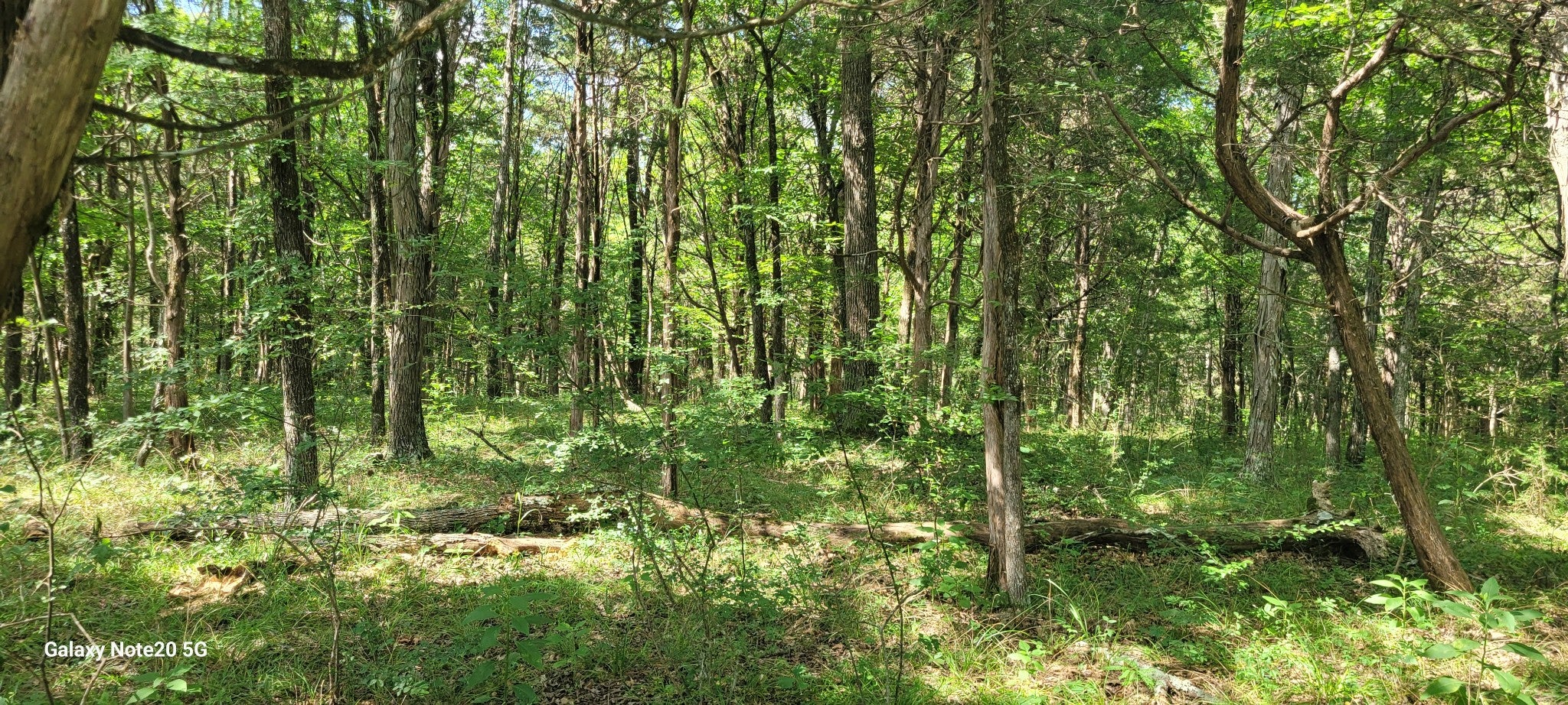 2 Clem Creek Rd