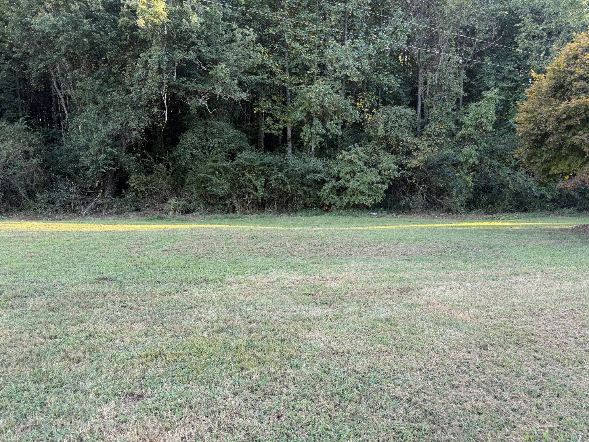641 Ruth Hildreth Rd