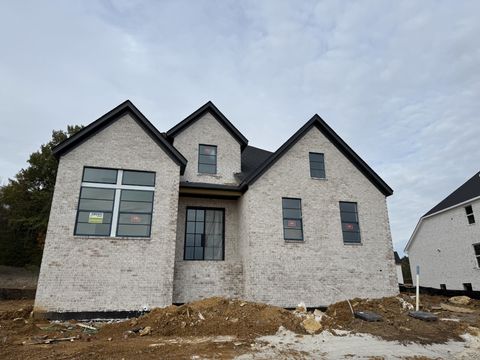 5159 High Park Hill Drive Arrington TN 37014