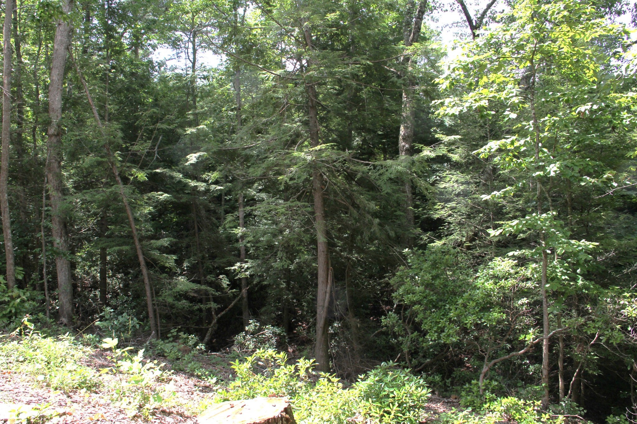 0 Meadow Dr