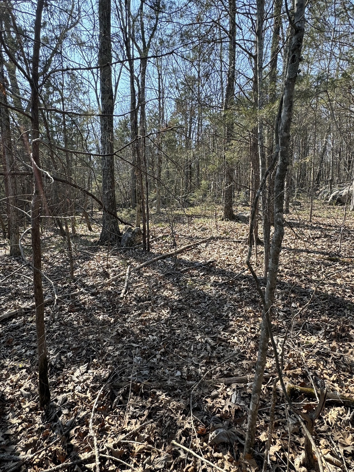 0 Cainsville Rd