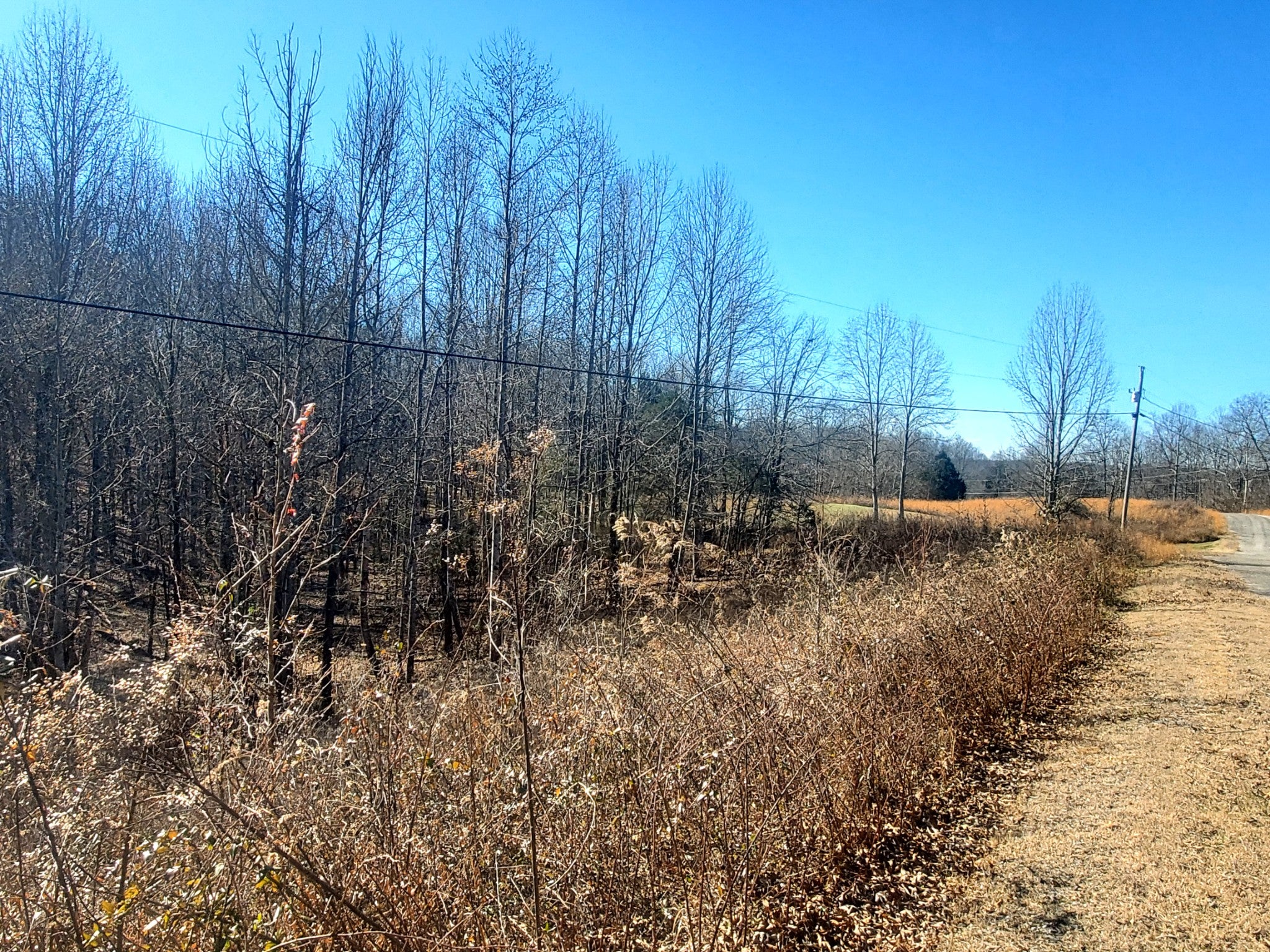 Photo 1 of 5 — 0 Summer Breeze Dr, Smithville, TN 37166