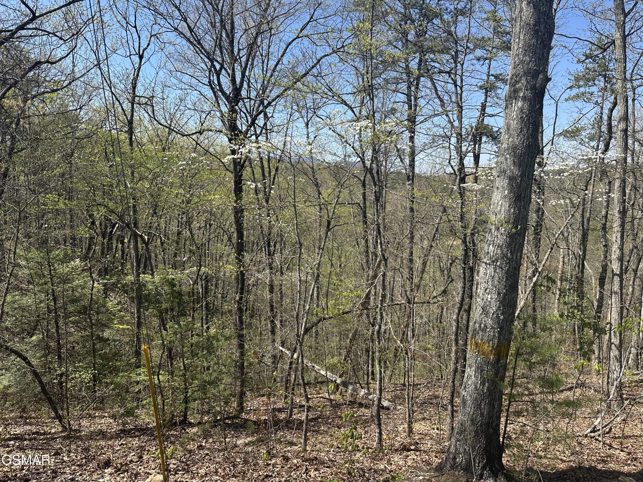Photo 1 of 5 — 1532 Mountain Dreams Way Way, Pigeon Forge, TN 37862