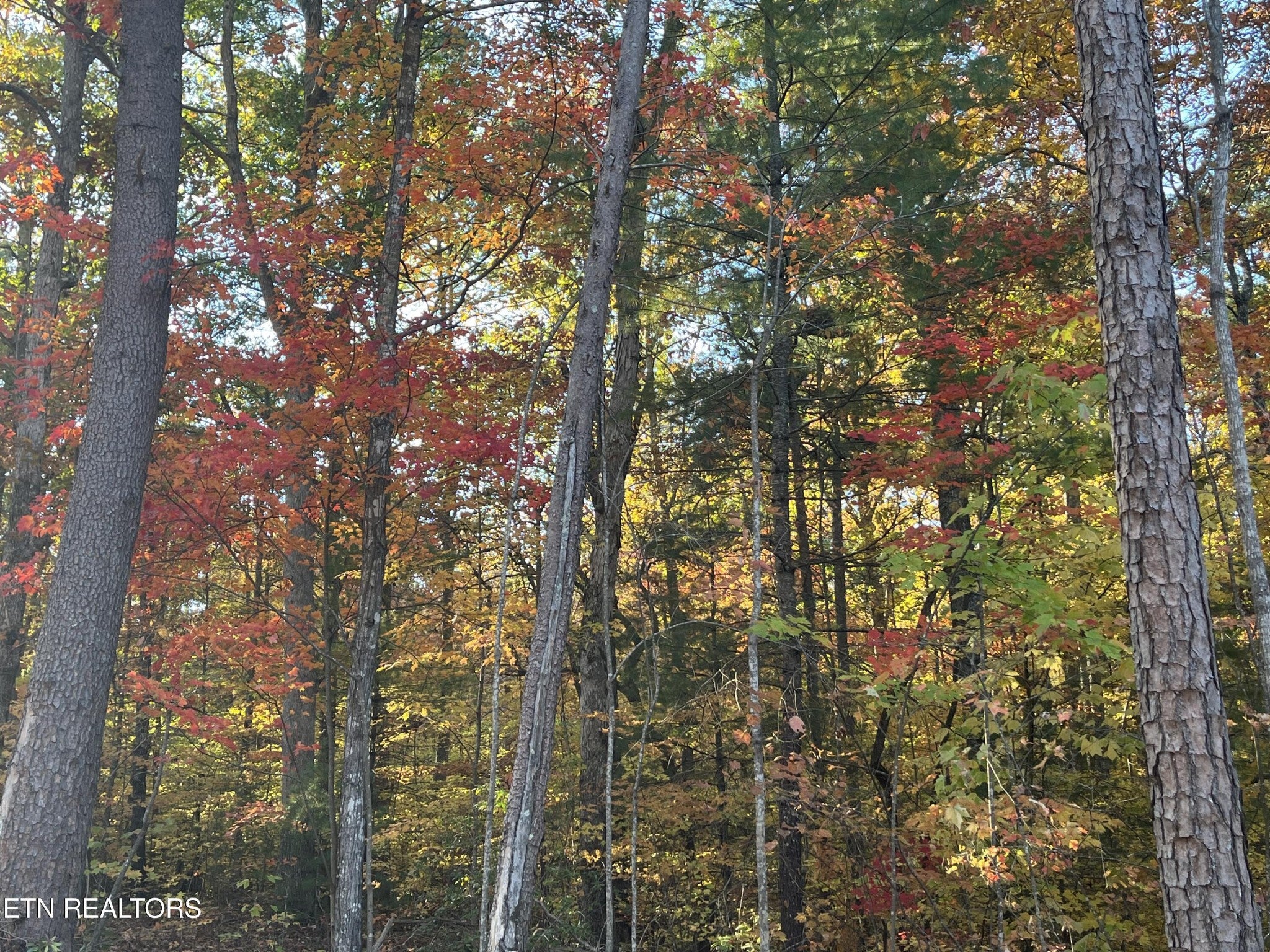 111 Cherokee Path