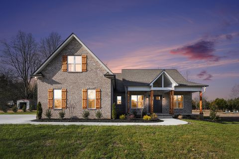 412 Harsh Ln Castalian Springs TN 37031