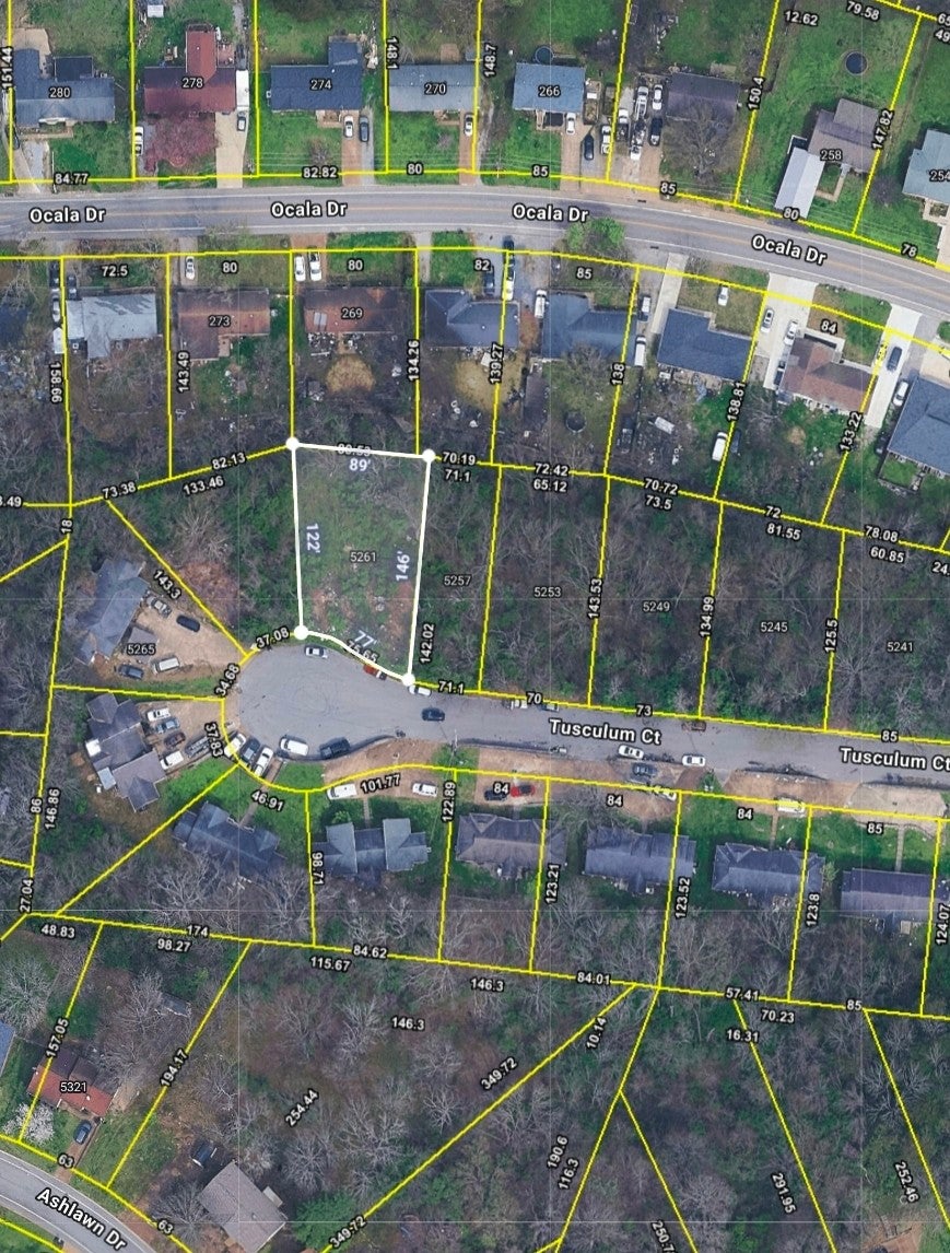 5261 Tusculum Ct - Photo 4