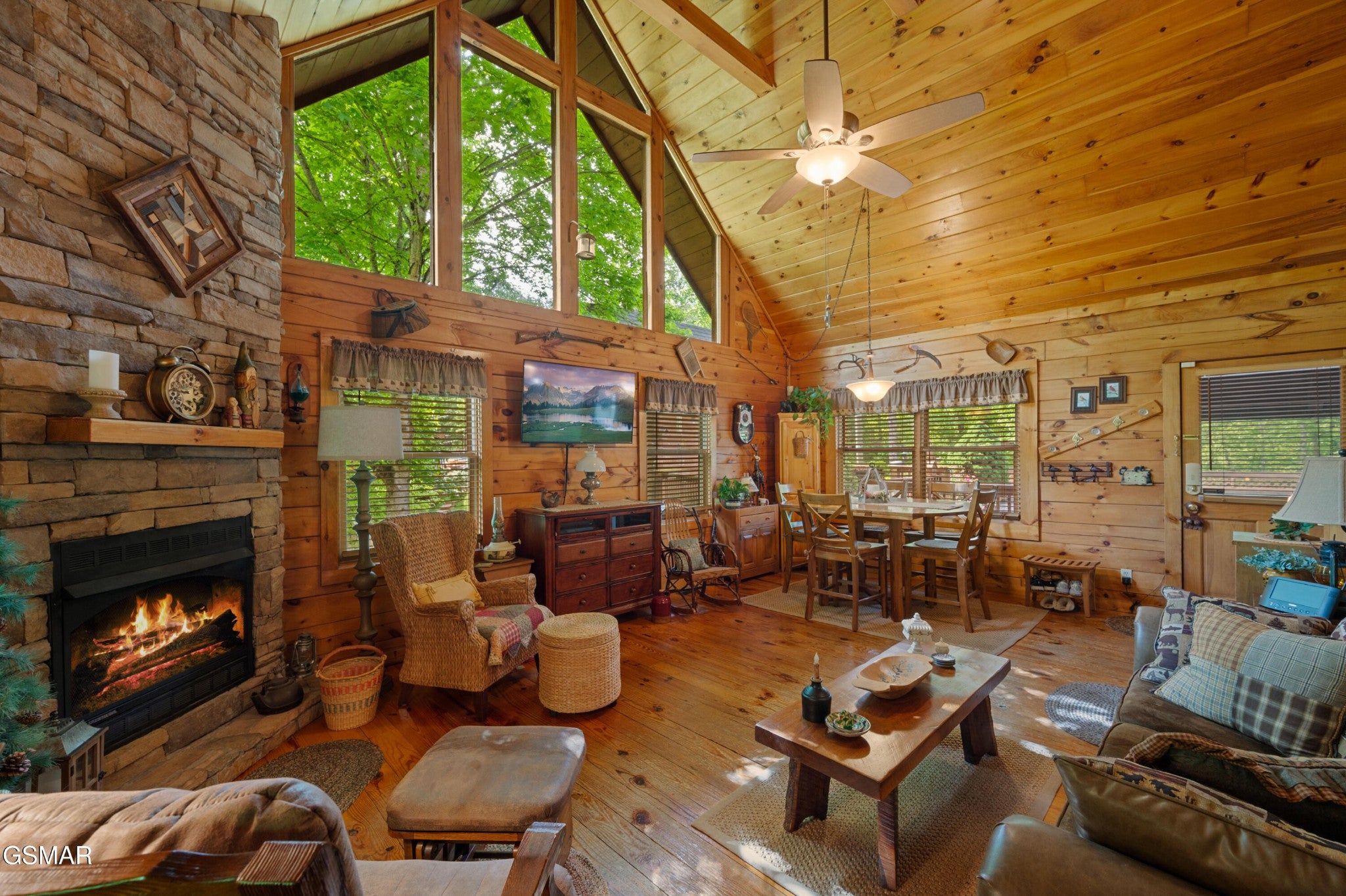 3209 Bear Country Way