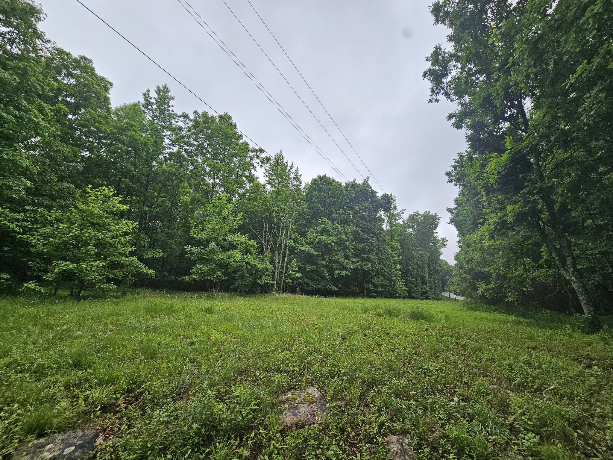 2411 SR 56
