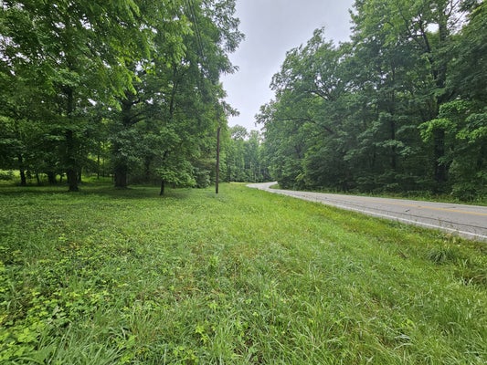 2411 STATE RTE 56, TRACY CITY, TN 37387 - Image 264b43ea683beb1a4e6fb98f752f45b9/929882181