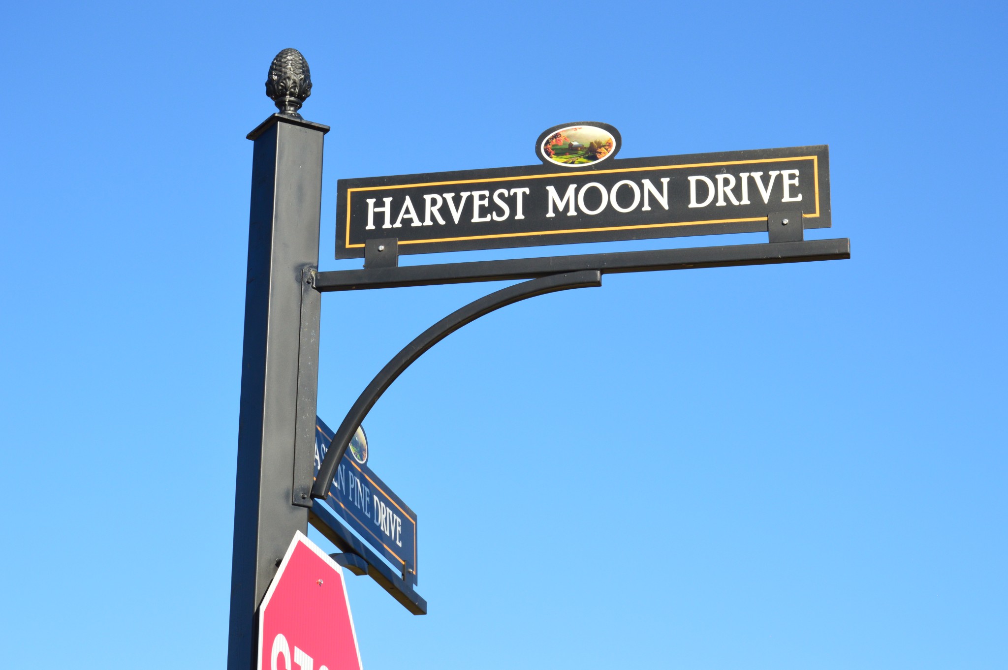 279 HARVEST MOON COURT