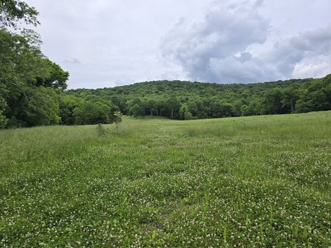 3104 Swindell Hollow Rd Lebanon TN 37090