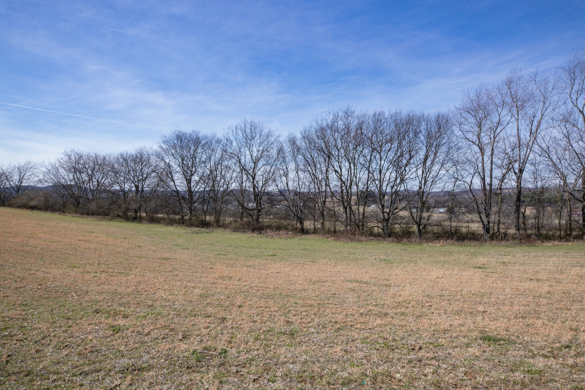 1771 Cornersville Hwy