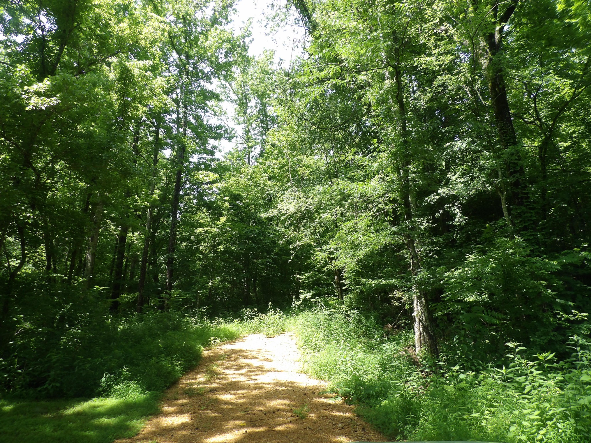 0 East Blue Creek Road