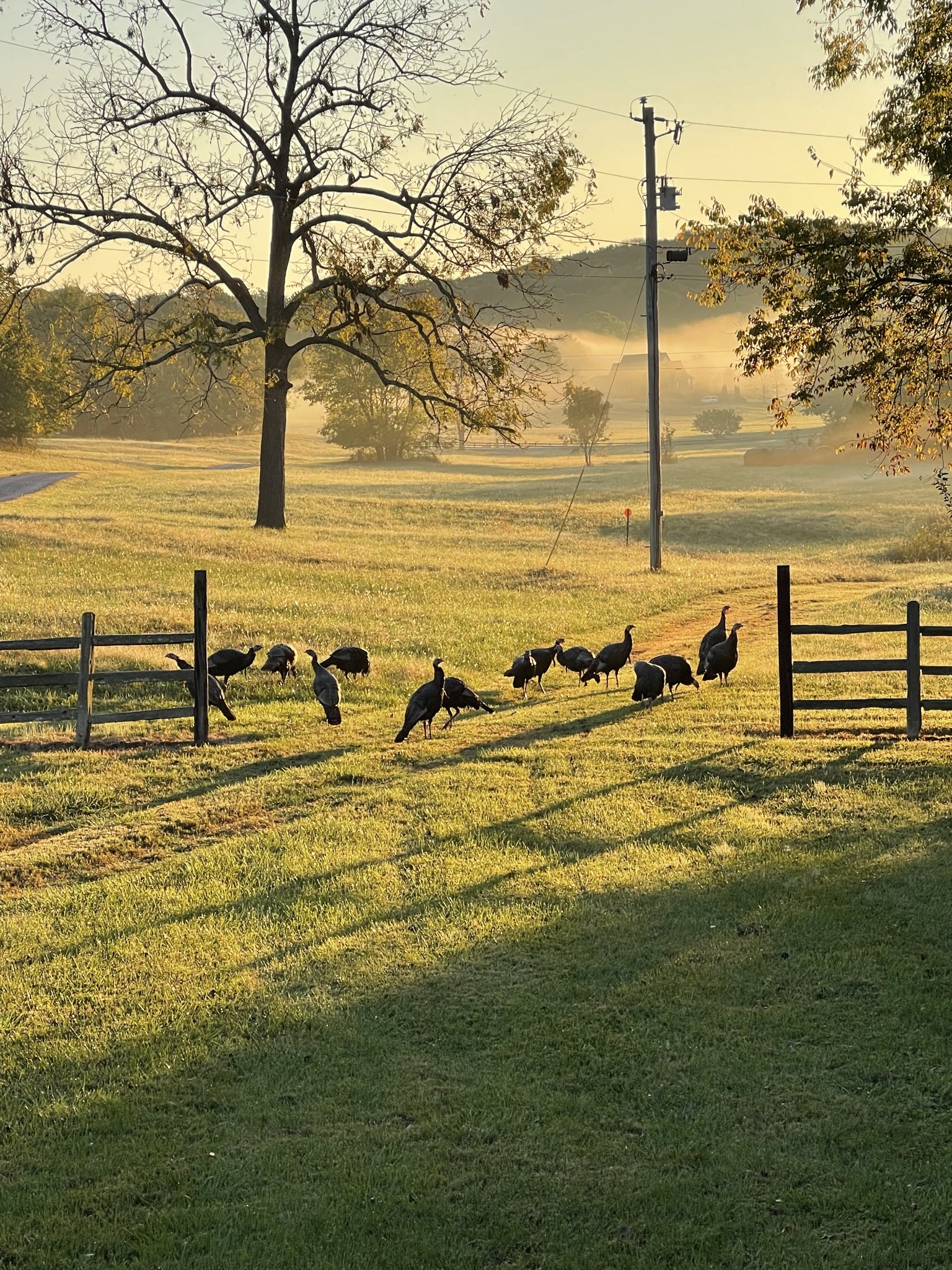 5946 SE Tater Peeler Rd