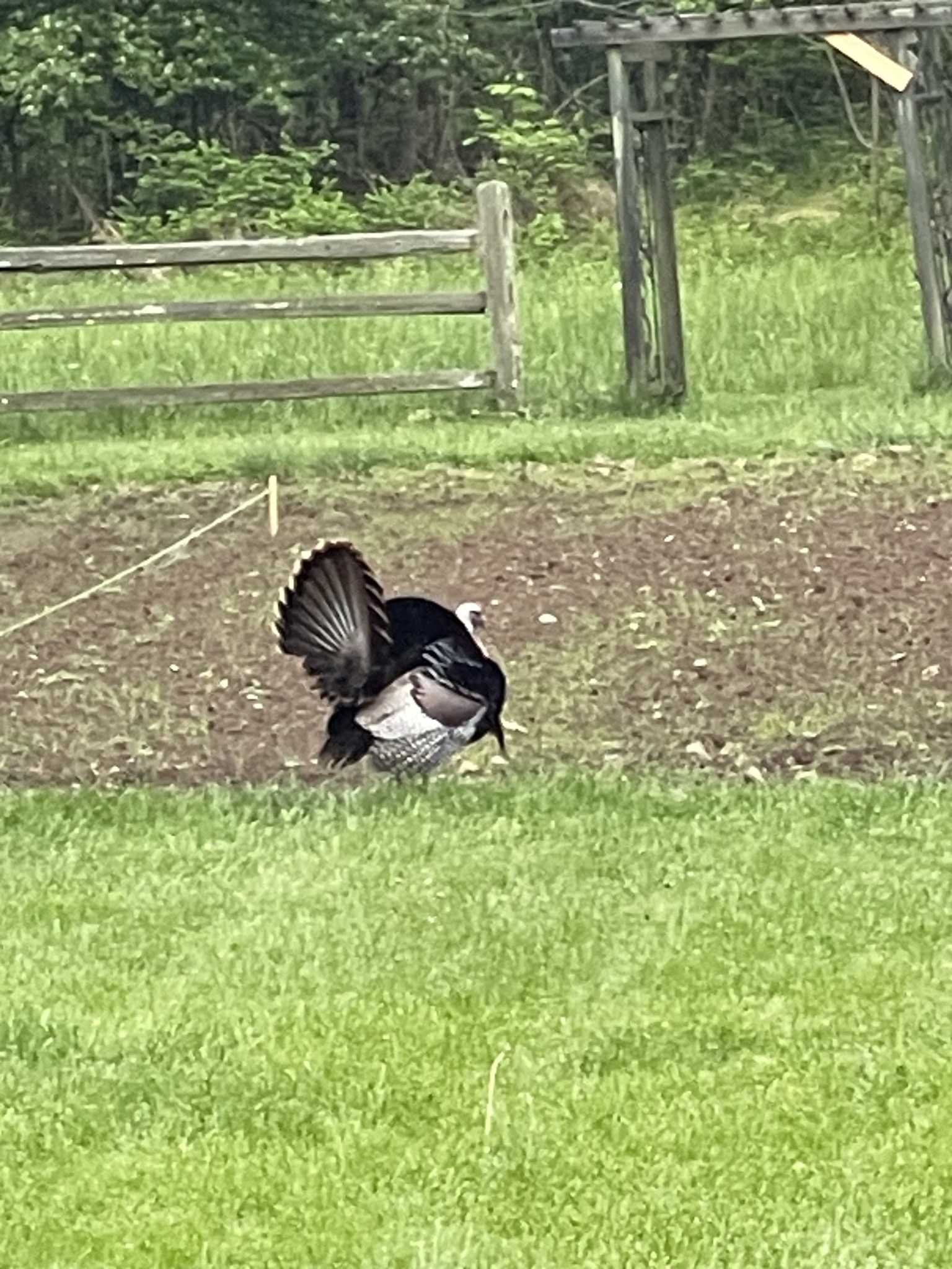 5946 SE Tater Peeler Rd