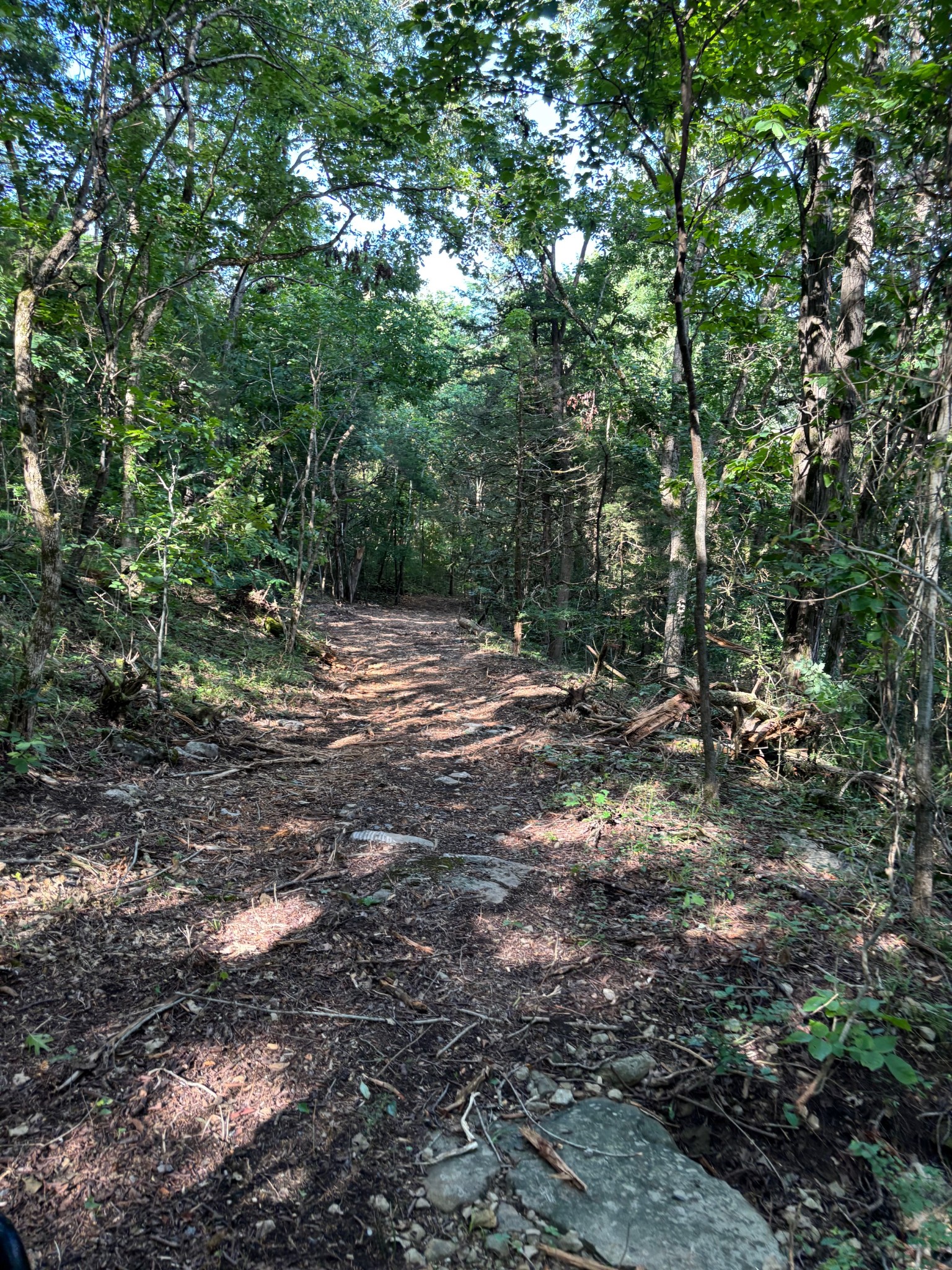 2517 Patton Hollow Rd