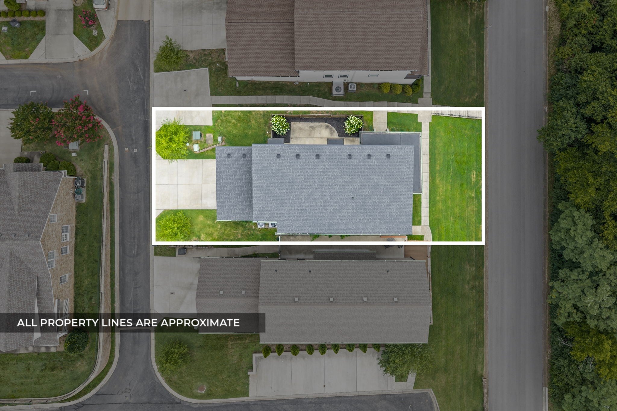 515 Wilcox Street