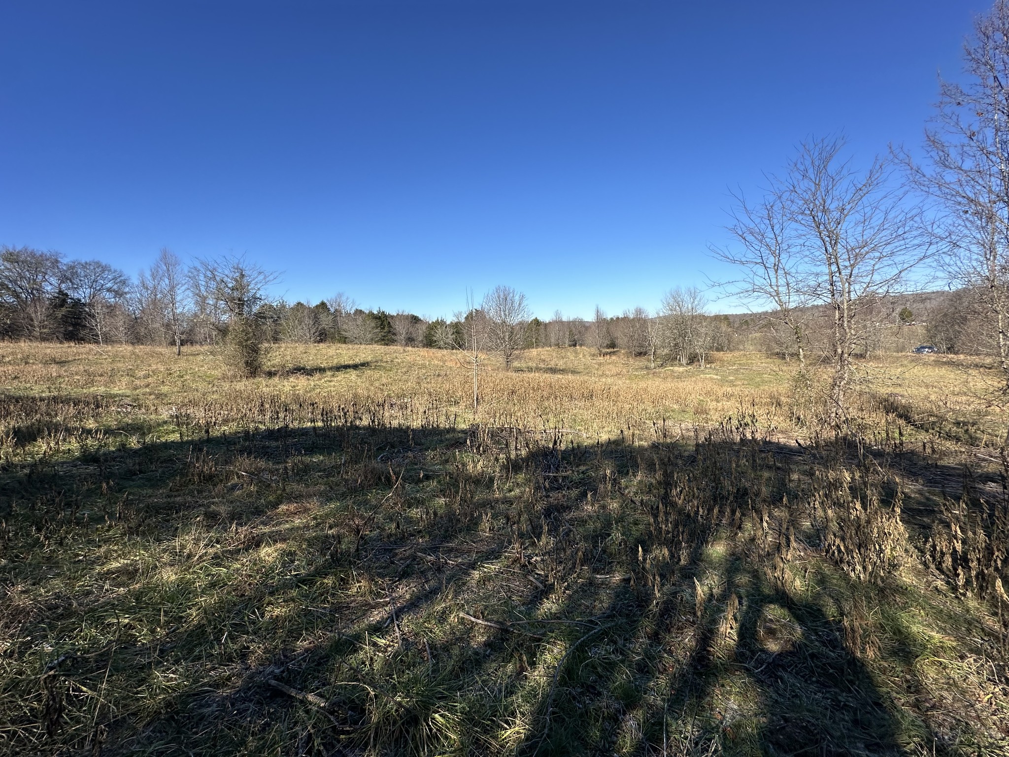 0 Cane Creek Cummingsville Rd