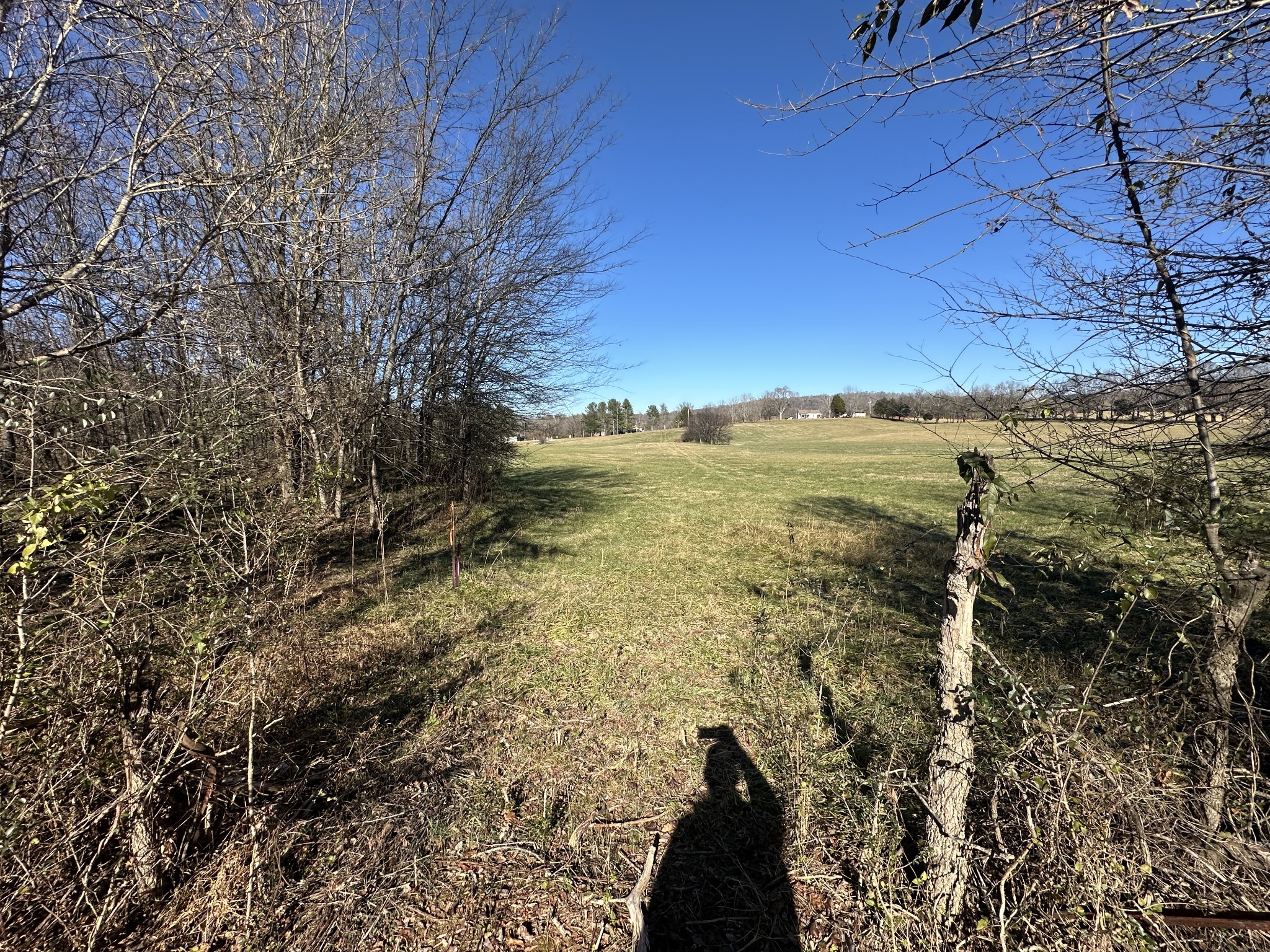 0 Cane Creek Cummingsville Rd