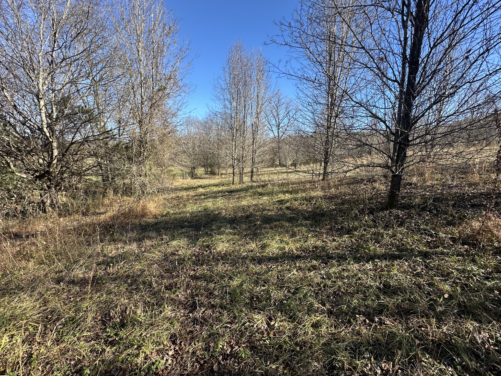 0 Cane Creek Cummingsville Rd