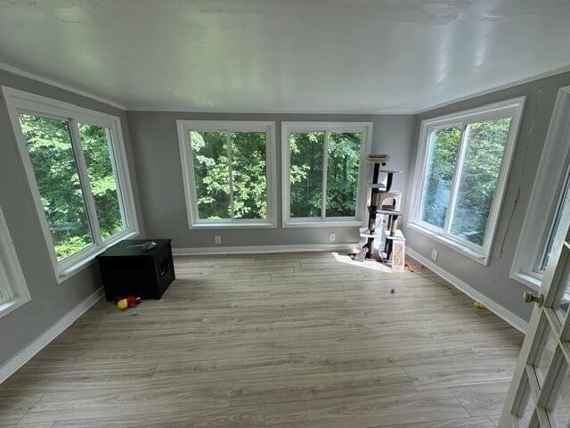 4 Battery Drive - Photo 4