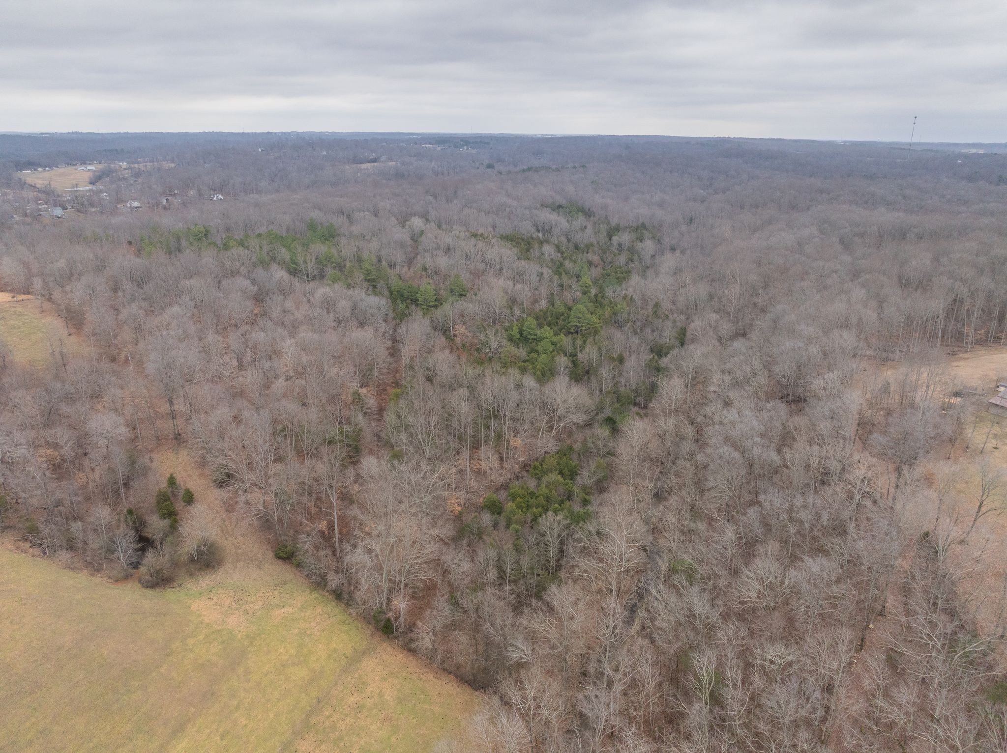 0 Wiley Branch Road