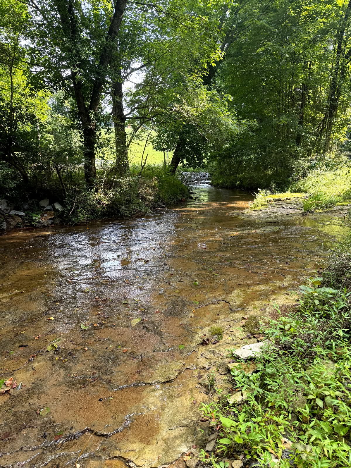 0 Wiley Branch Road